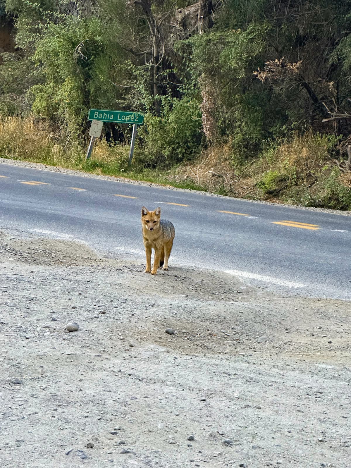 Bariloche — foto 16
