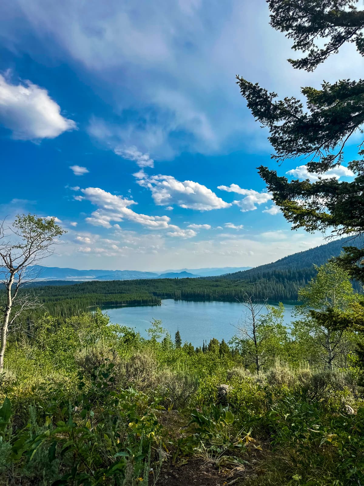 Grand Teton — foto 2