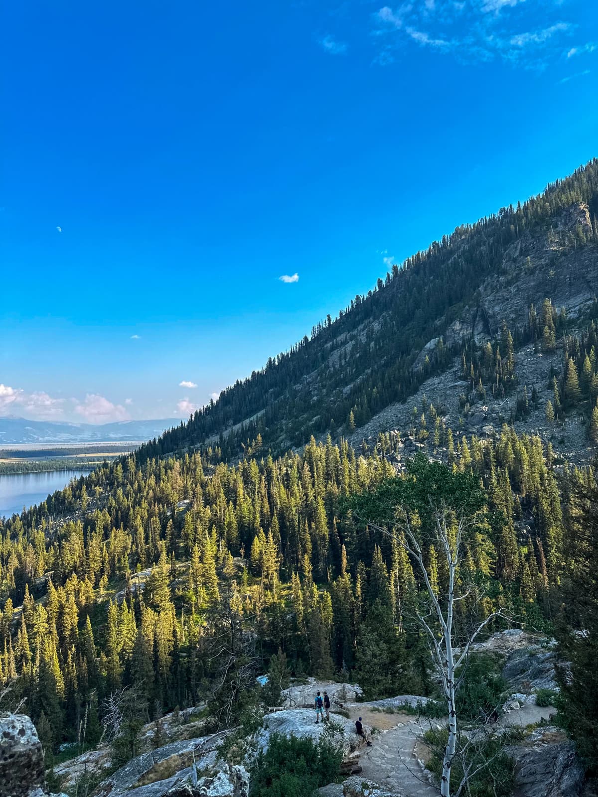 Grand Teton — foto 5