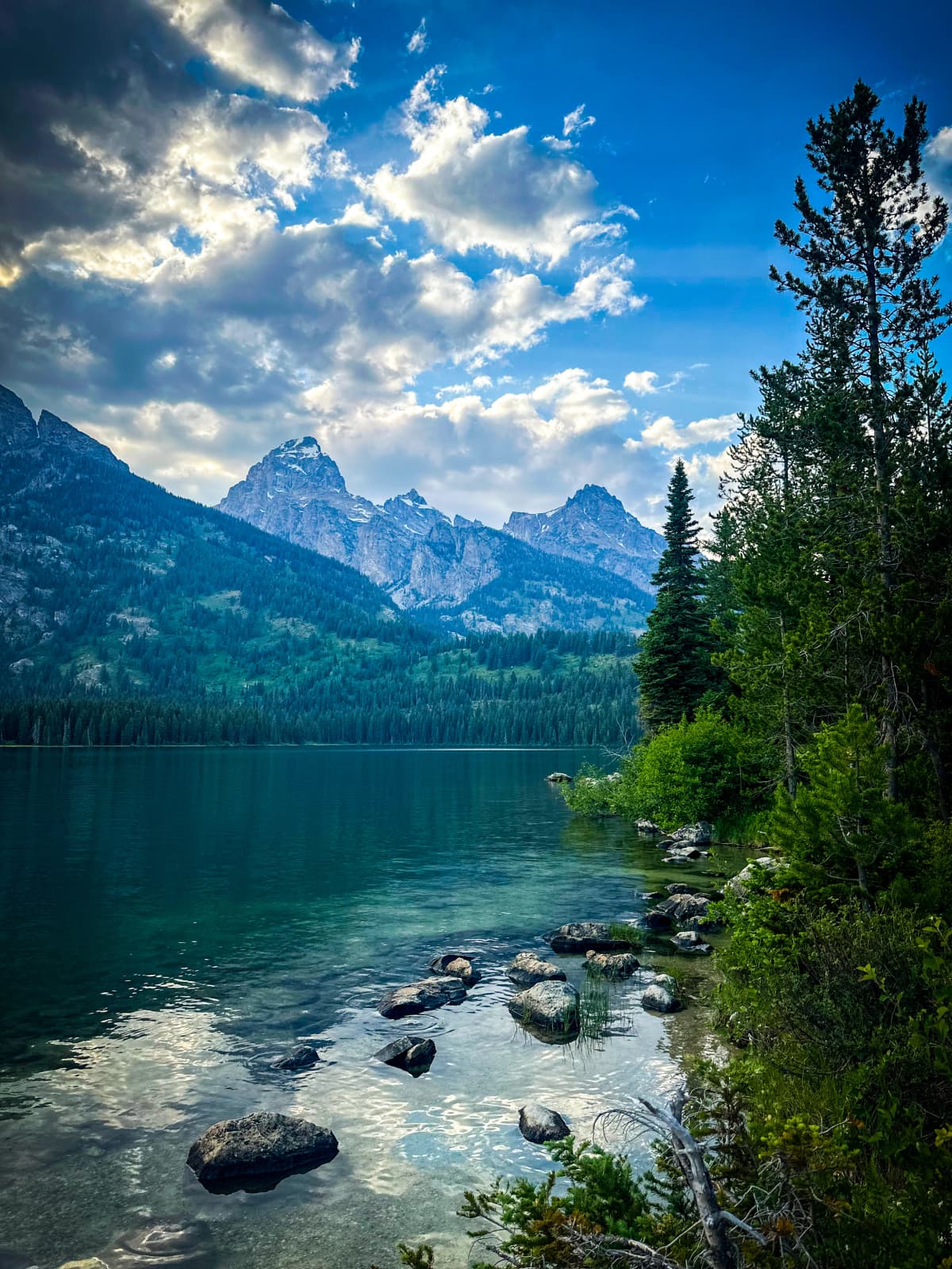 Grand Teton — foto 7