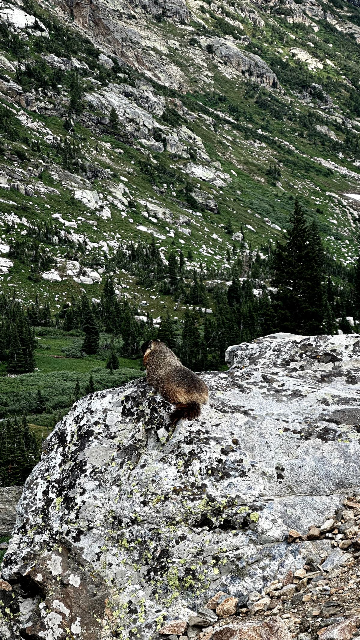 Grand Teton — foto 11