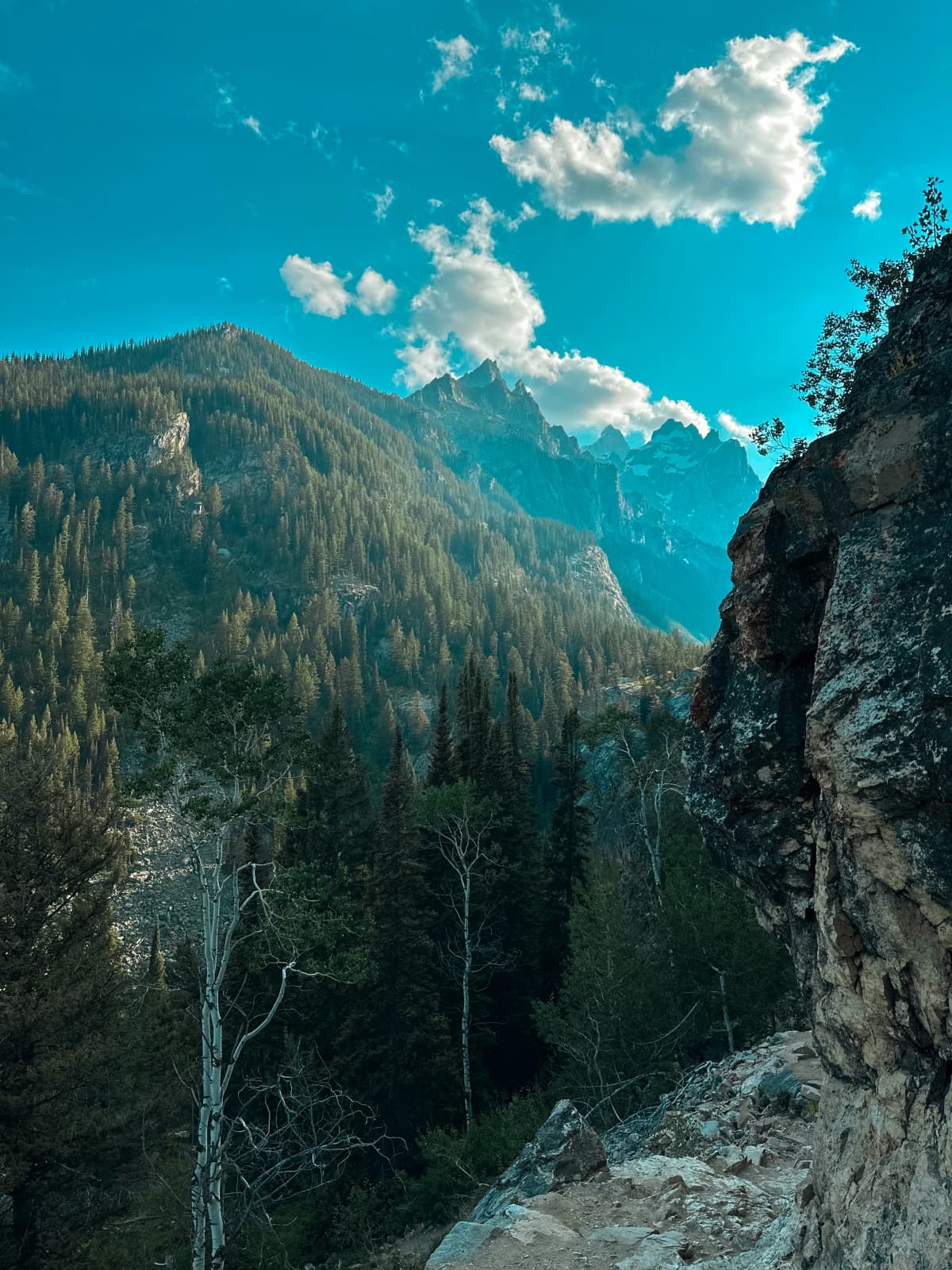 Grand Teton — foto 19