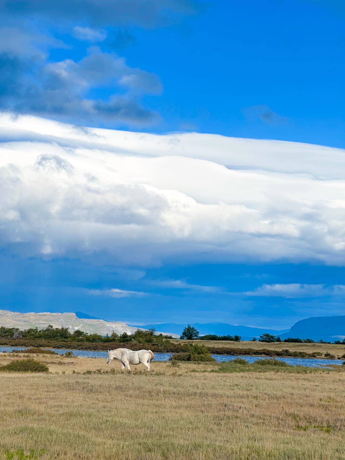 Torres del Paine, Patagonia — foto 4