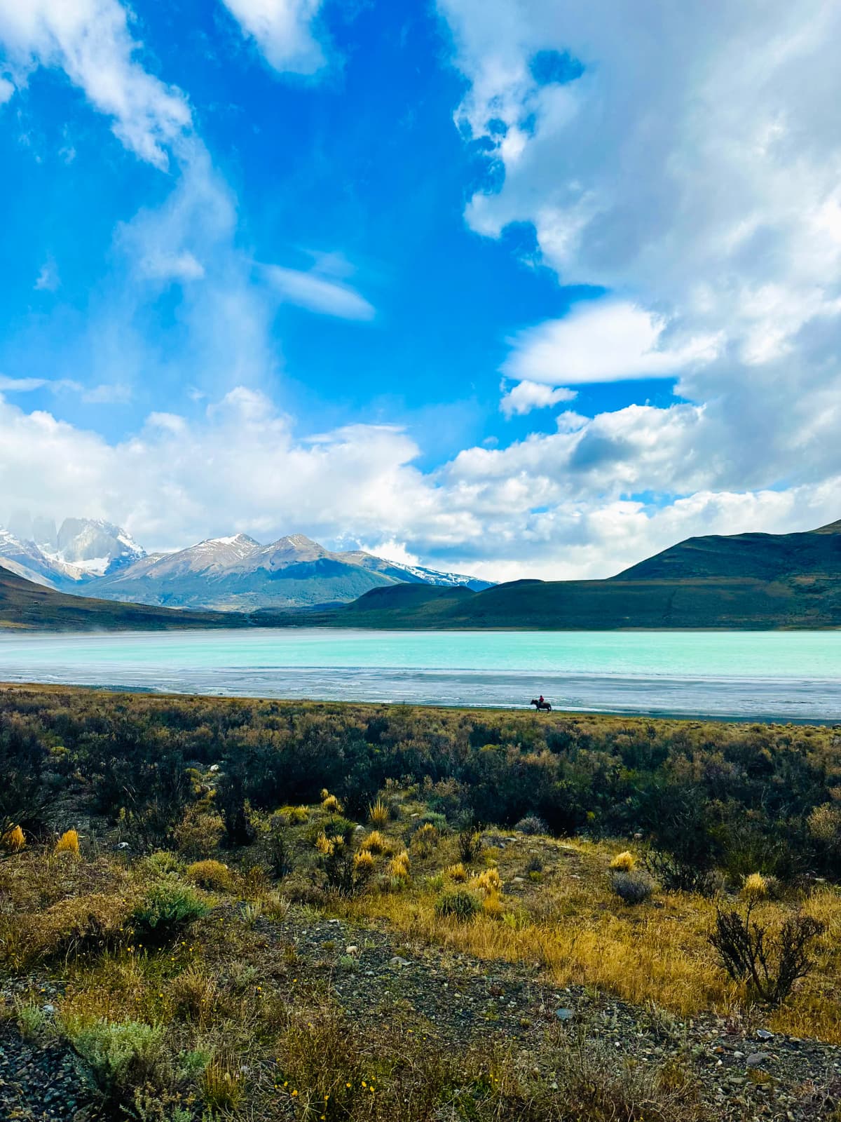 Torres del Paine, Patagonia — foto 13