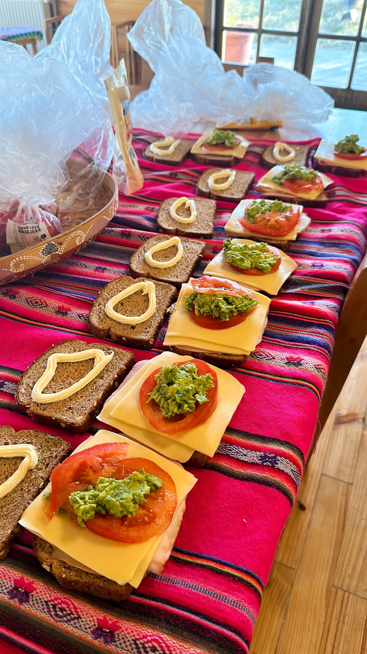 Torres del Paine, Patagonia — foto 14