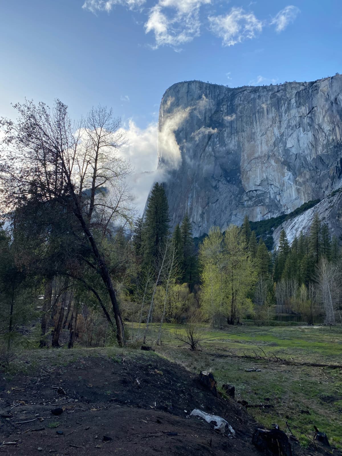 Yosemite — foto 13