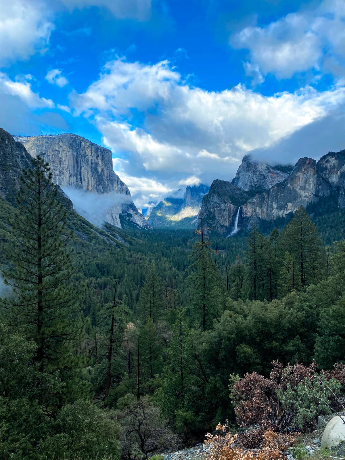 Yosemite — foto 11